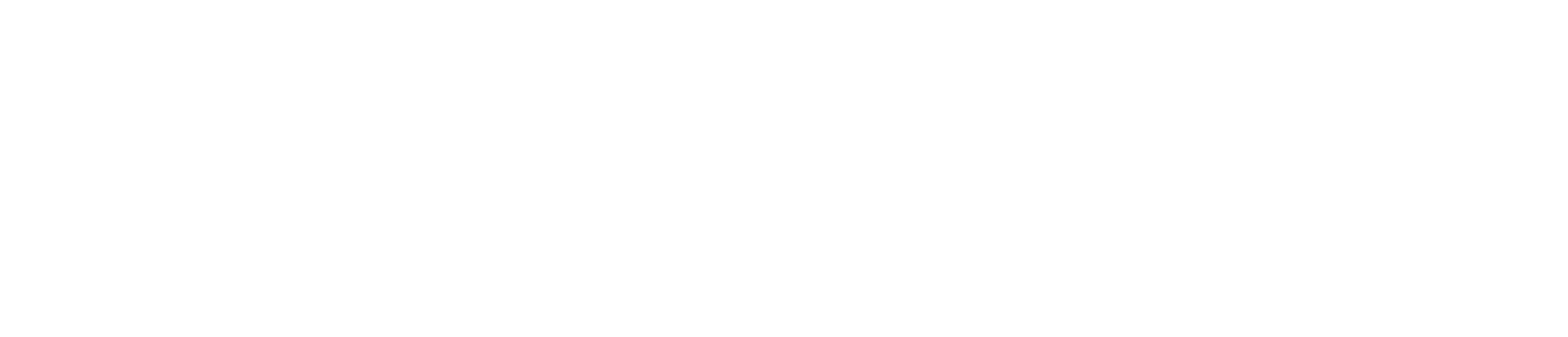 Brandtrack Logo